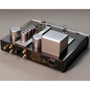 Фонокорректор Musical Surroundings Fosgate Signature Phonostage
