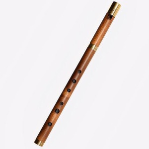 Вистл iVolga VCC-01