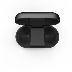 Наушники внутриканальные беспроводные Bang & Olufsen BeoPlay EQ Black