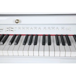 Рояль цифровой Ringway GDP6320 Polish White