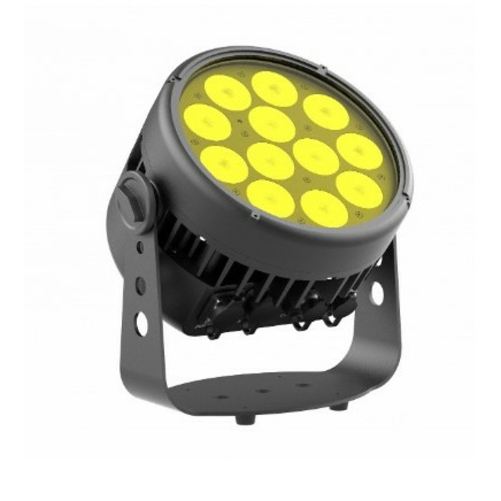 Прожектор PAR LED Stage4 REPAR 12x8CW IP