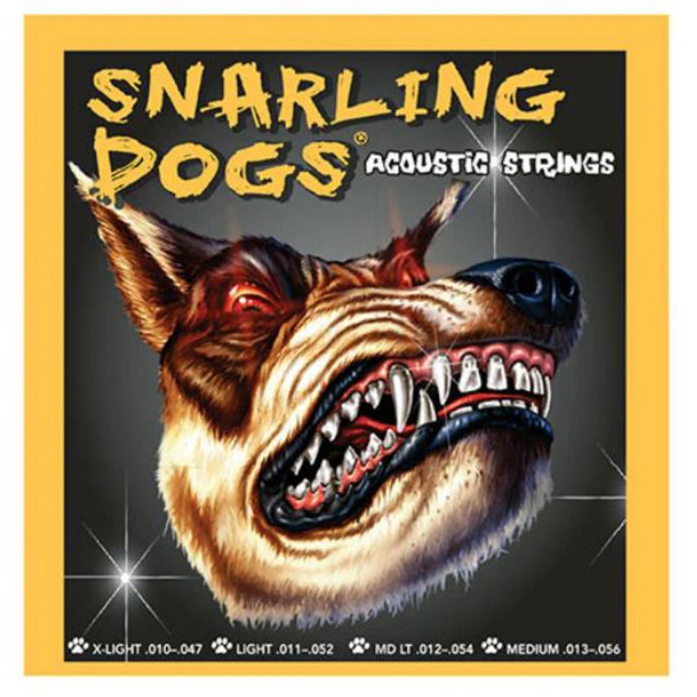 Струны для акустической гитары DAndrea SDP13