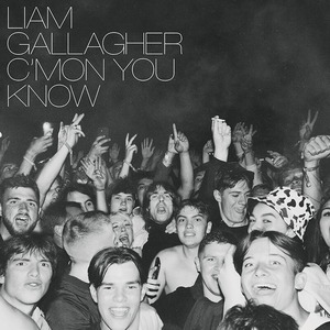Пластинка LP Liam Gallagher - Cmon You Know