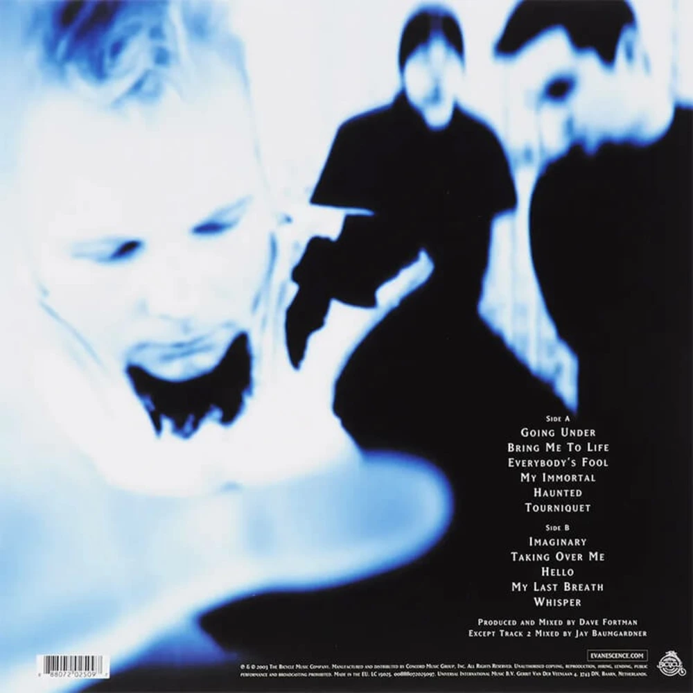 Пластинка LP Evanescence - Fallen