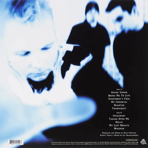 Пластинка LP Evanescence - Fallen