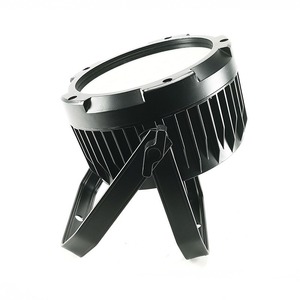 Прожектор PAR LED Ross PAR VISION 1810 RGBW
