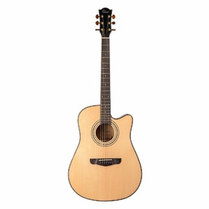 Акустическая гитара Omni D-890S