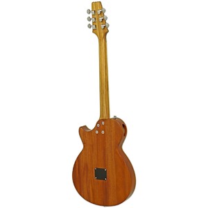 Электроакустическая гитара ARIA APE-100 BLB