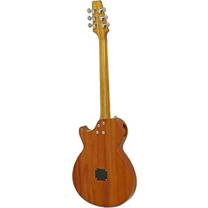 Электроакустическая гитара ARIA APE-100 N
