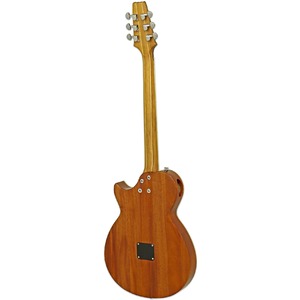 Электроакустическая гитара ARIA APE-100 TS