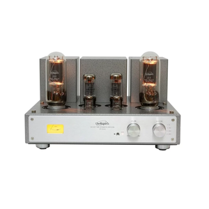 Интегральный усилитель Line Magnetic LM-218 IA