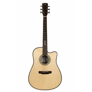 Акустическая гитара Prima MAG218C