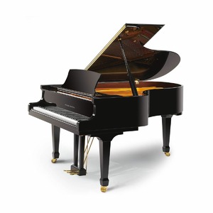 Рояль акустический RITMULLER GP188R1 A111