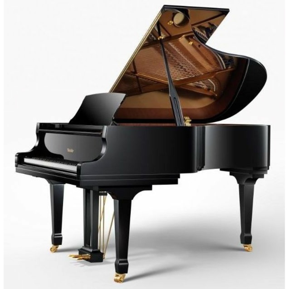 Рояль акустический RITMULLER RS183 A111