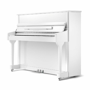 Пианино акустическое RITMULLER RS118 A112