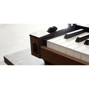 Пианино цифровое Casio PX-S6000BK