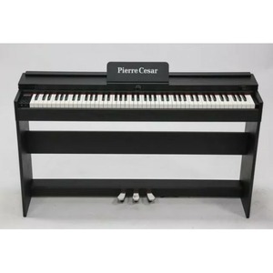 Пианино цифровое Pierre Cesar DP-12-H-BK