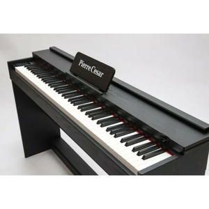Пианино цифровое Pierre Cesar DP-12-H-BK