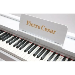Пианино цифровое Pierre Cesar DP-12-H-WH
