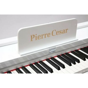 Пианино цифровое Pierre Cesar DP-12-PH-WH