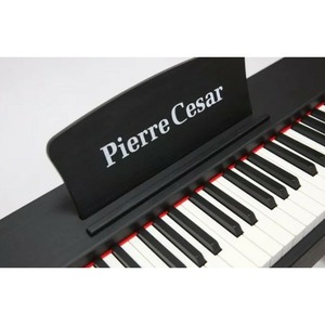 Пианино цифровое Pierre Cesar DP-121-H-BK
