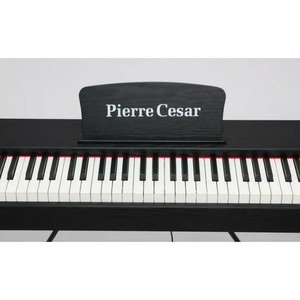 Пианино цифровое Pierre Cesar DP-121-H-BK