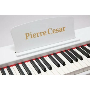 Пианино цифровое Pierre Cesar DP-121-H-WH