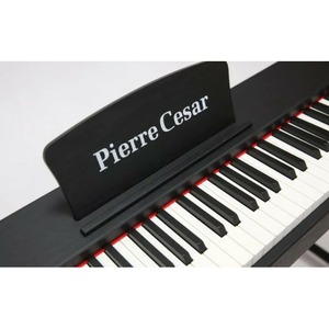 Пианино цифровое Pierre Cesar DP-121-HF-BK