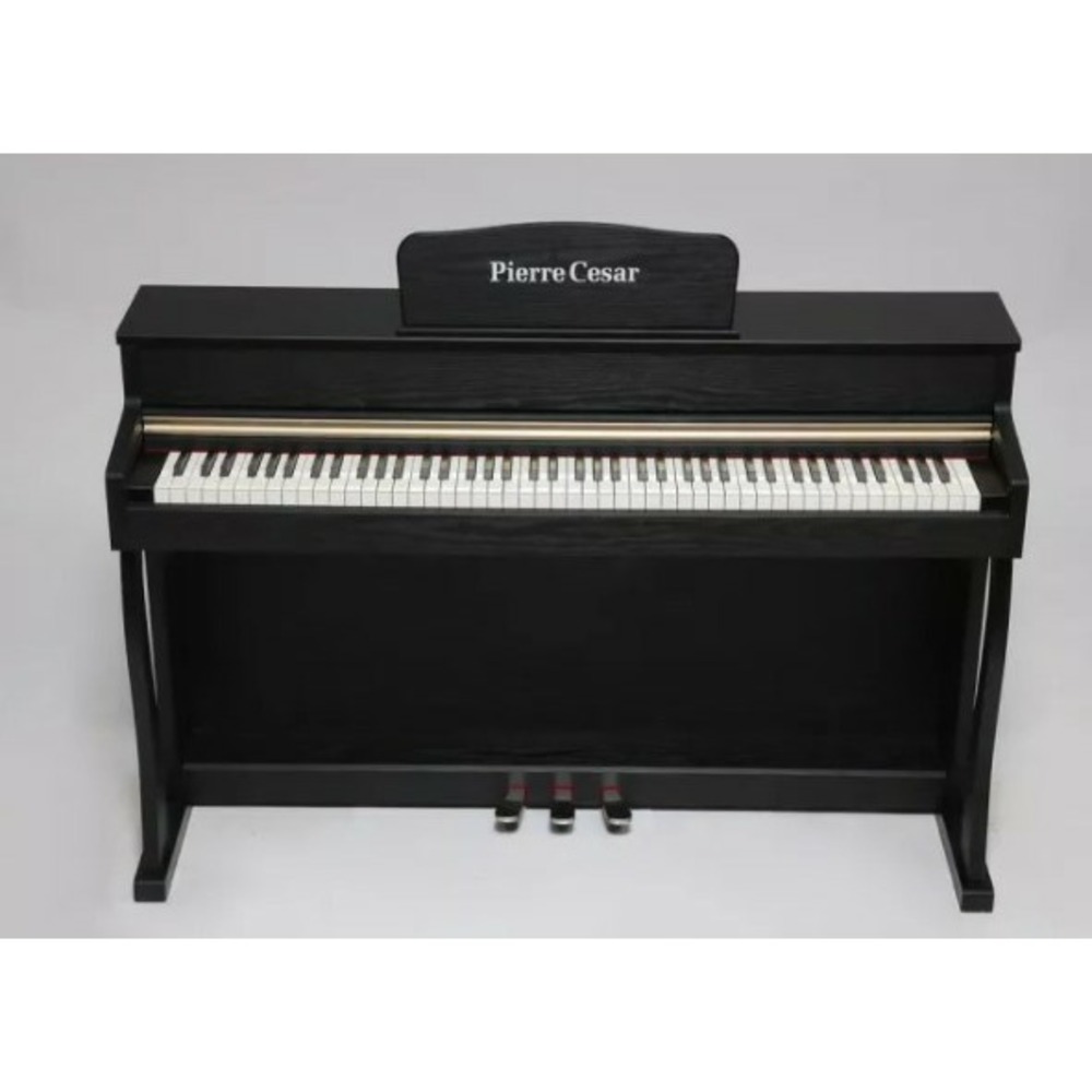 Пианино цифровое Pierre Cesar DP-500-H-BK
