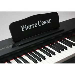 Пианино цифровое Pierre Cesar M430D BK