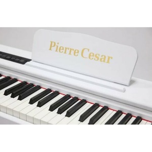 Пианино цифровое Pierre Cesar M430E WH
