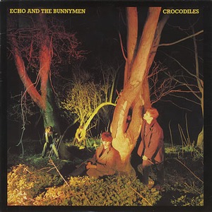Пластинка LP Echo & The Bunnymen - Crocodiles