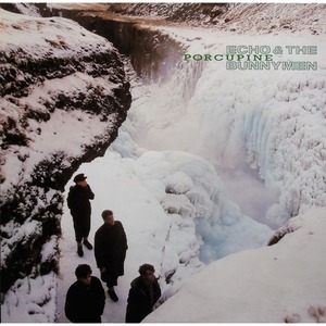 Пластинка LP Echo & The Bunnymen - Porcupine