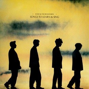 Пластинка LP Echo & The Bunnymen - Songs To Learn & Sing
