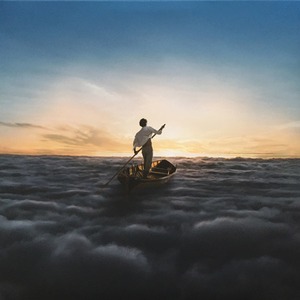 Пластинка LP Pink Floyd - The Endless River