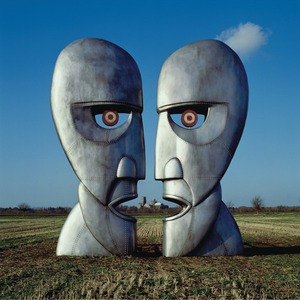 Пластинка LP Pink Floyd - The Division Bell