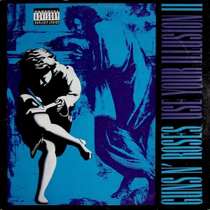 Пластинка LP Guns N Roses - Use Your Illusion II
