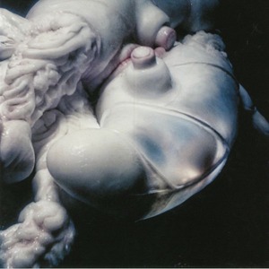 Пластинка LP Bjork – Arisen My Senses (Slug Genital Coloured Vinyl)