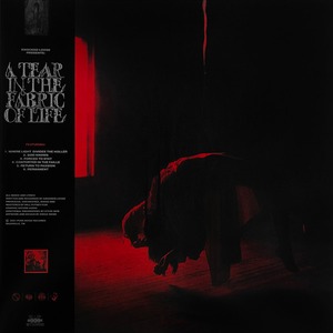 Пластинка LP Knocked Loose - A Tear In The Fabric Of Life (Coloured Vinyl)