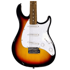 Электрогитара PEAVEY Raptor Custom Sunburst