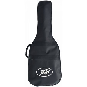 Электрогитара PEAVEY Raptor Plus Pack Black w/ Audition