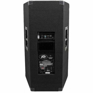 Активная акустическая система PEAVEY PV 1015D Enclosure