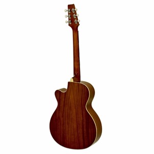 Электроакустическая гитара ARIA FET-R1 MSRO