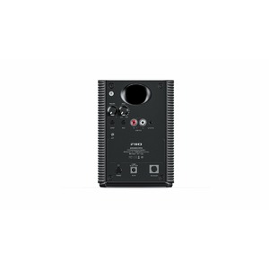 Активная акустика FiiO SP3 black