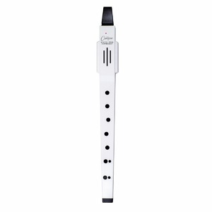 Электронный духовой инструмент Blackstar Carry-On Digital Wind Instrument White