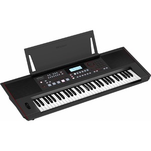 Цифровой синтезатор Roland E-X50