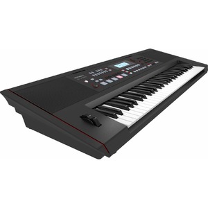 Цифровой синтезатор Roland E-X50