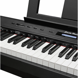 Пианино цифровое EMILY PIANO D-22 BK