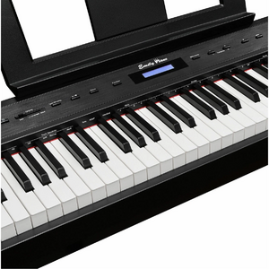 Пианино цифровое EMILY PIANO D-22 BK