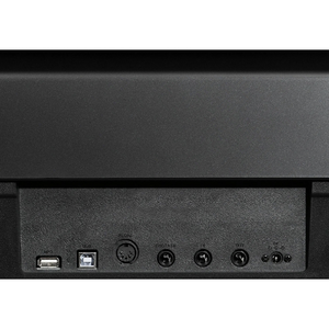 Пианино цифровое EMILY PIANO D-22 BK